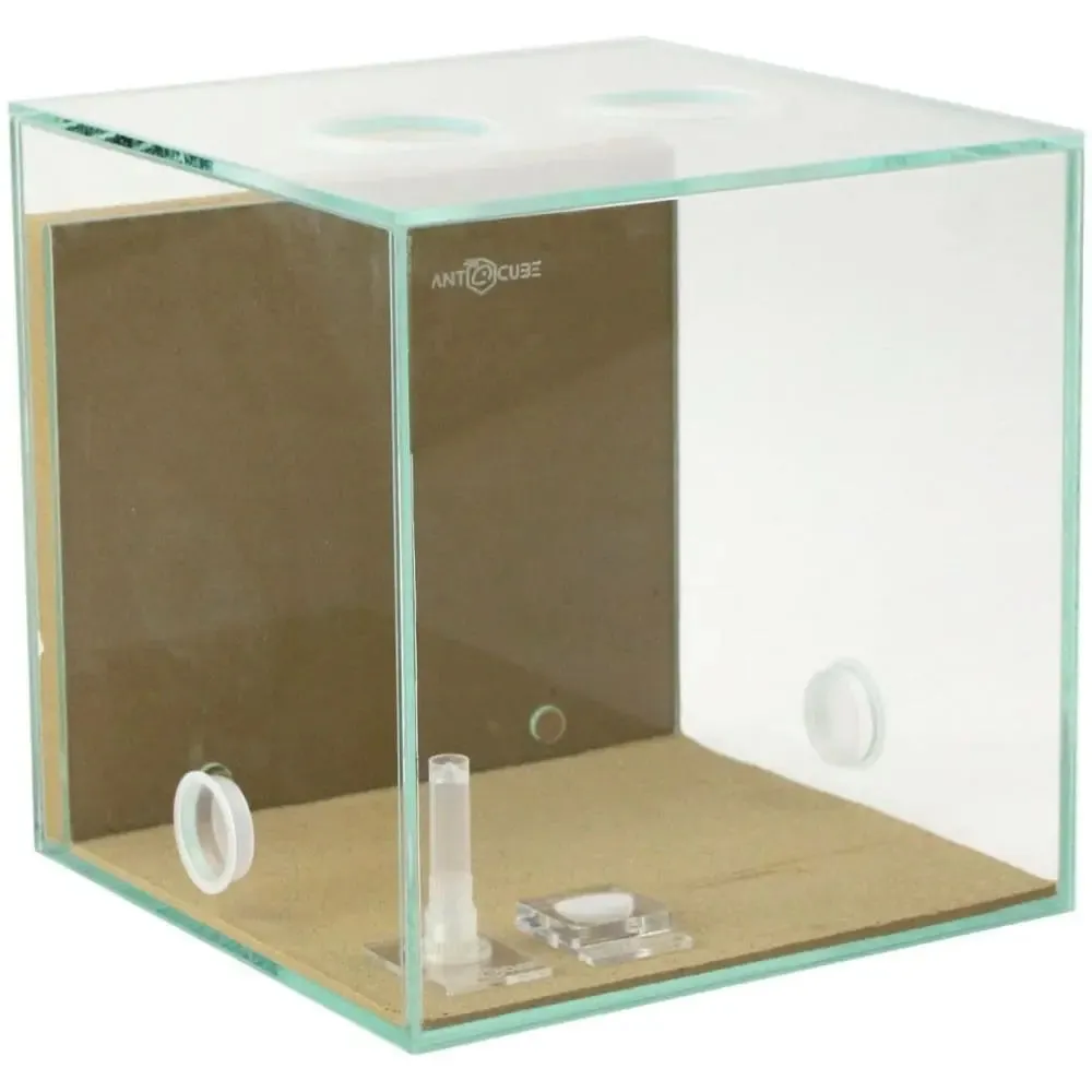 ANTCUBE Starter Set S – 20×20cm – Combi