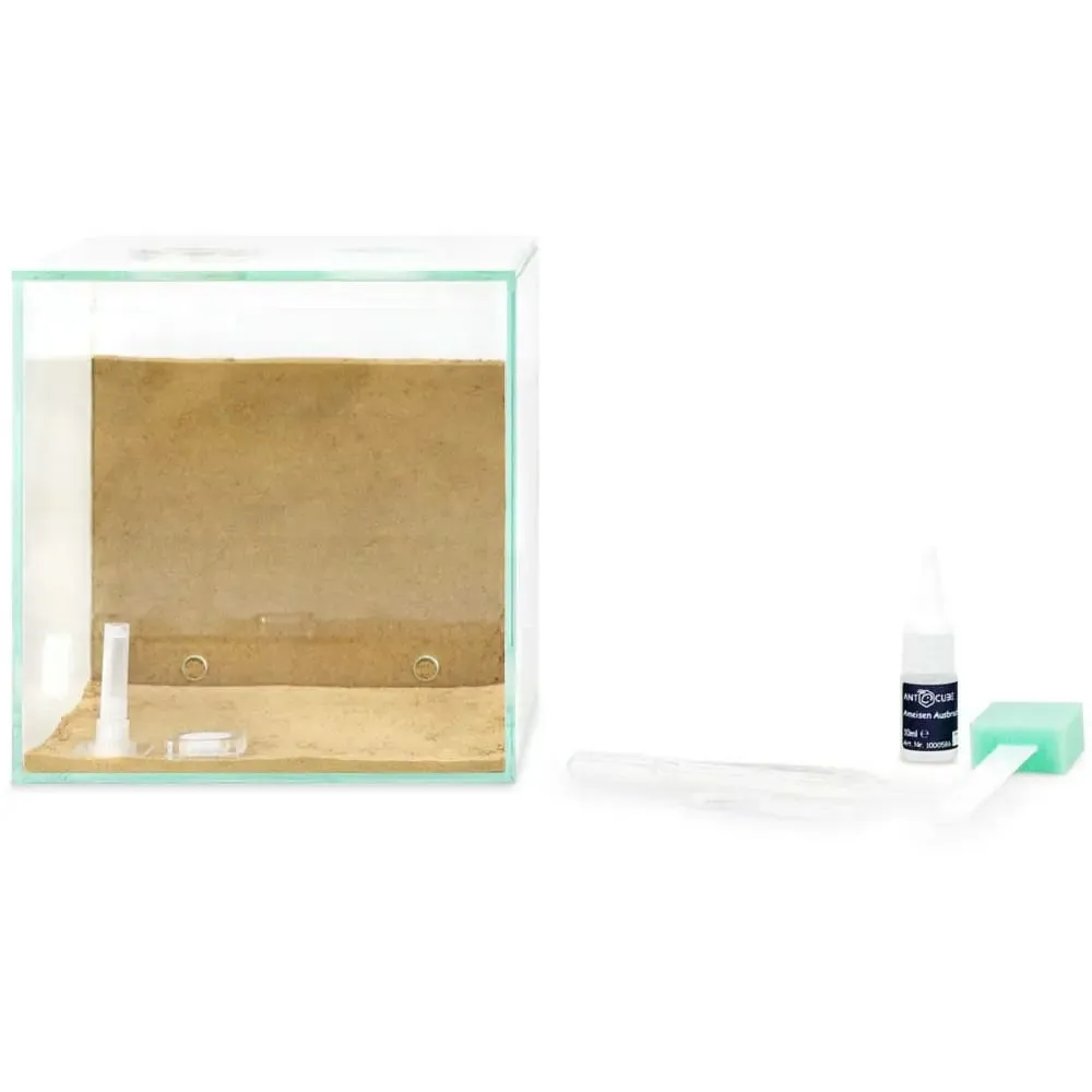 ANTCUBE Starter Set S – 20×20cm – Combi