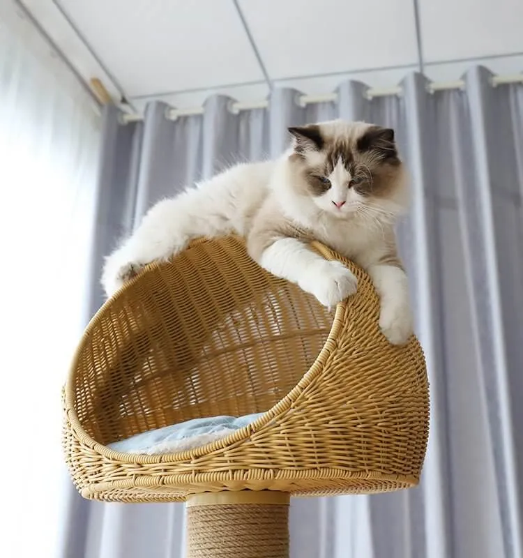 Luxury Space Capsule Woven Basket Cat Tree Tower